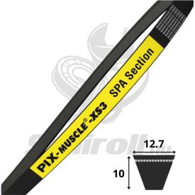 SPA2432 Lp - PIX Muscle-XS3 