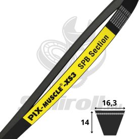 SPB1650 Lp - PIX Muscle-XS3 