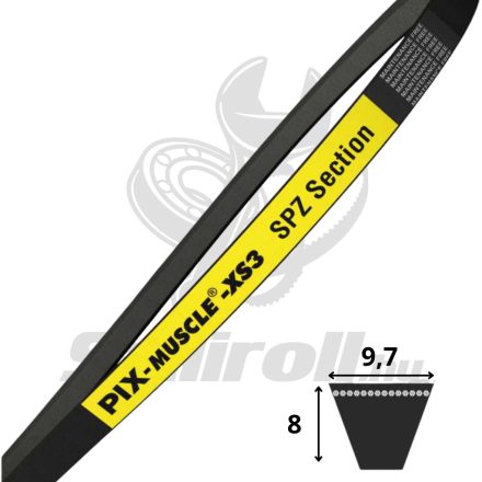 SPZ1060 Lp - PIX Muscle-XS3 