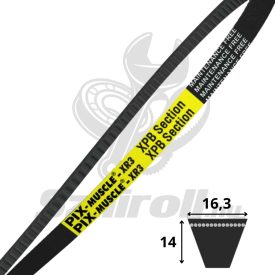 XPB1510 Lp (Lw;Ld) - PIX MUSCLE-XR3  