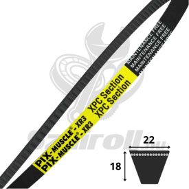 XPC1600 Lp (Lw;Ld) - PIX MUSCLE-XR3  