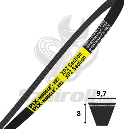 XPZ1270 Lp (Lw;Ld) - PIX MUSCLE-XR3 