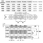 Kétsoros görgőslánc BS D