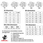 Morgensen MS-90047 – 0.25 KW-os Villanymotor, 3 fázisú, 4 pólusú talpas és kisperemes